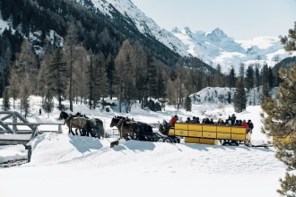 In carrozza nella neve in inverno