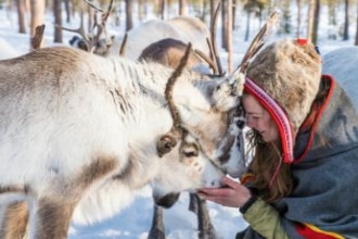 Treehotel Svezia - Escursioni per vedere i Sami