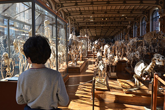 Parigi con bambini, Musee de Paleontologie