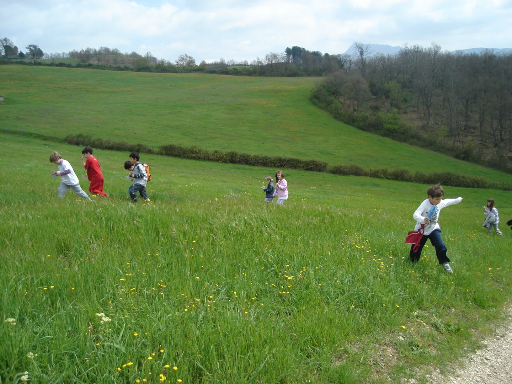 Agriturismo per bambini Arezzo - La Collina delle Stelle, divertimento per bambini
