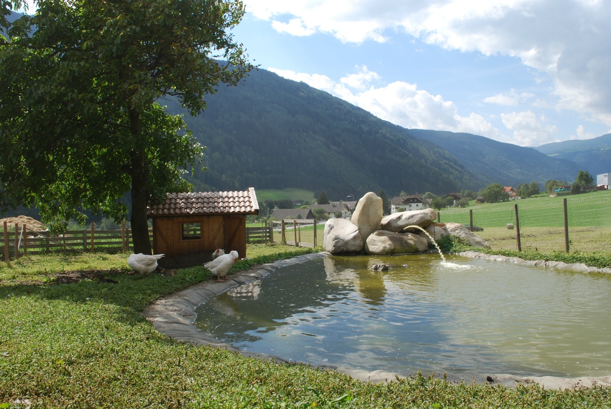 Agriturismo Alto Adige bambini - Residence fattoria Obermoarhof, laghetto