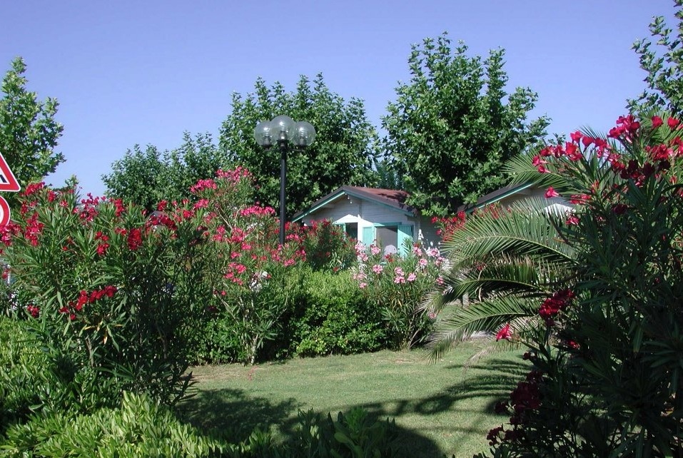 Villaggio a Numana per famiglie, Centro Vacanze De Angelis, alloggi nel verde