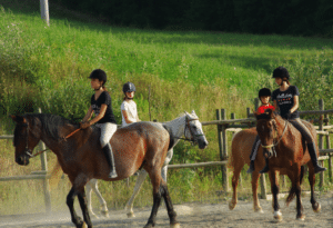 Agriturismo con maneggio Siena, Podere Tremulini, maneggio