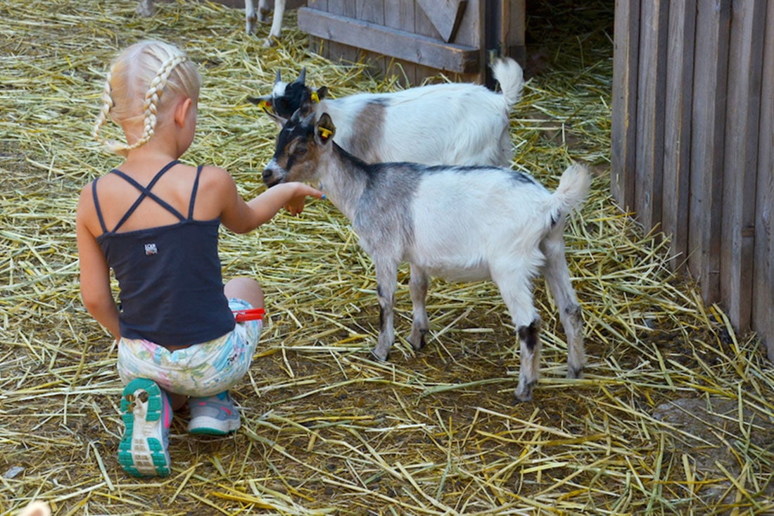Agriturismo con animali per bambini: la vita in fattoria!