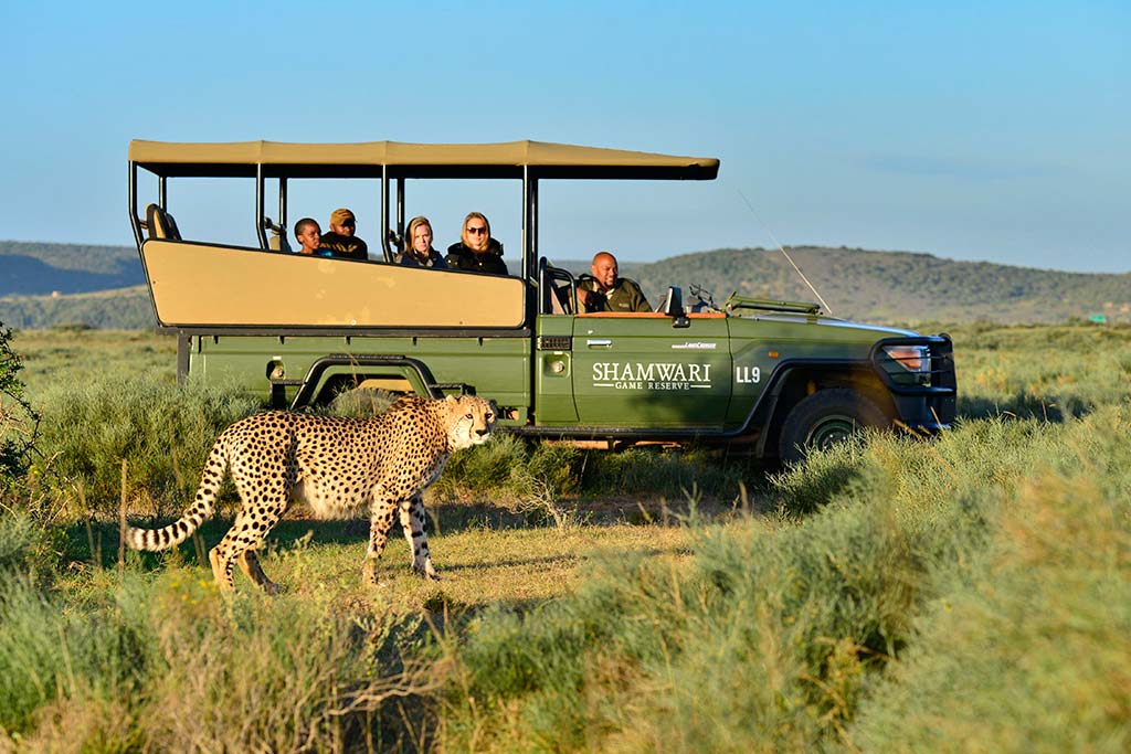 Shamwari Private Game Reserve in Sudafrica, safari family