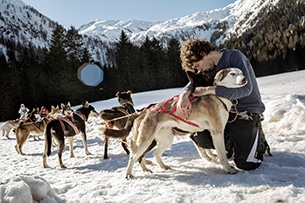 Avventure in Trentino d'inverno con i bambini, sleddog