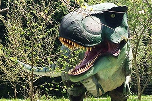 Parchi dinosauri, Calabria, Il mondo della preistoria