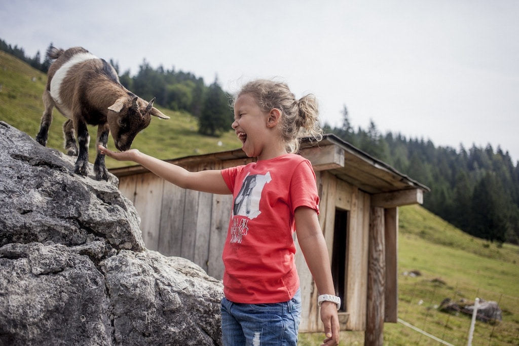 Agriturismo con animali per bambini, fattorie del Tirolo
