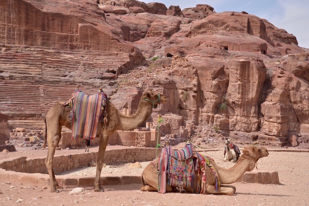 Il Teatro di Petra