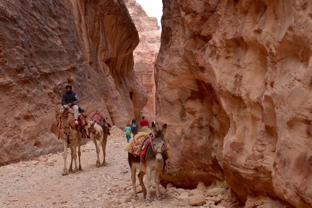 Folclore a Petra