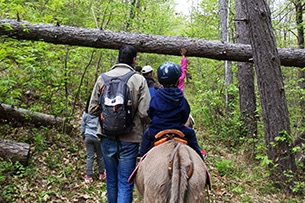 Trekking con gli asini per bambini nel bosco