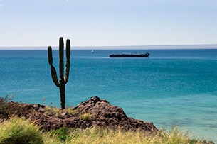 Baja California vacanza per famiglie
