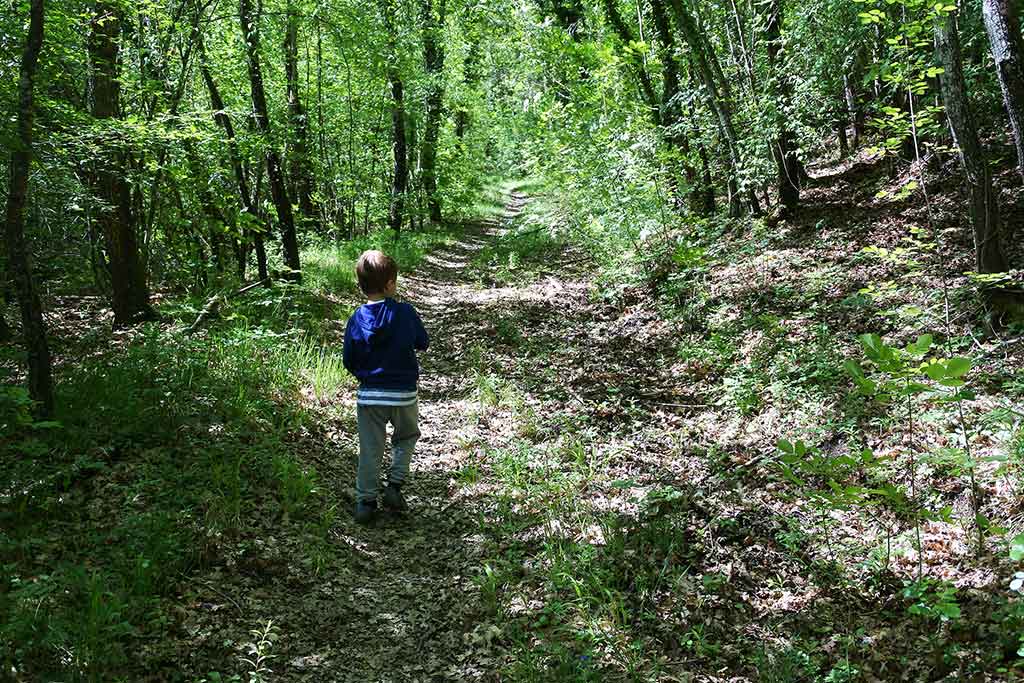 Agriturismo con maneggio Siena, Podere Tremulini, passeggiate nel bosco