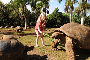 Mauritius con bambini, tartarughe centenarie
