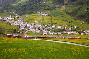 svizzera-treno-bernina-paesi