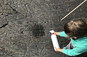 Valtellina per famiglie: incisioni rupestri di Grosio