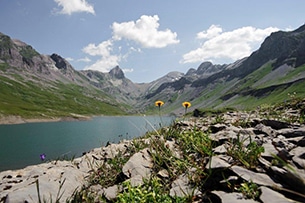 Svizzera natura, Canton Svitto, Glattalp lago