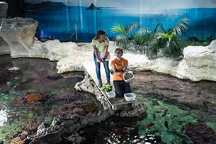 Musei Liguria per bambini, acquario di Genova