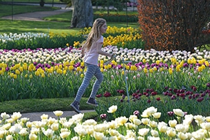 Ai giardini di Villa Taranto con bambini, le fioriture