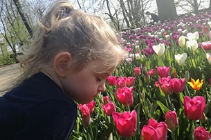 Messer Tulipano: le fioriture del Castello di Pralormo 