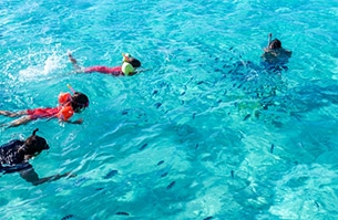 Isole Cook con bambini, snorkeling