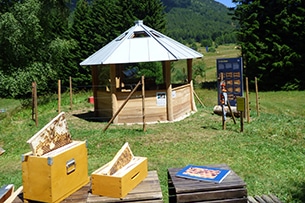 Giardino Botanico Muse, apicoltura