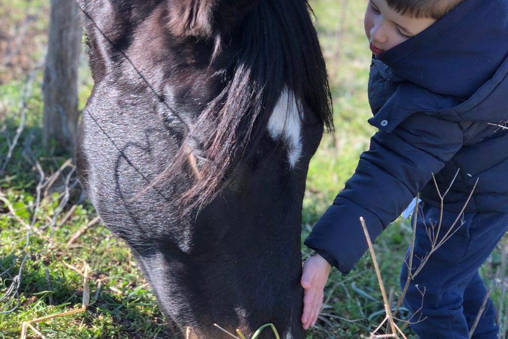 Agriturismo per bambini in Maremma La Valentina Nuova, avvicinamento ai cavalli