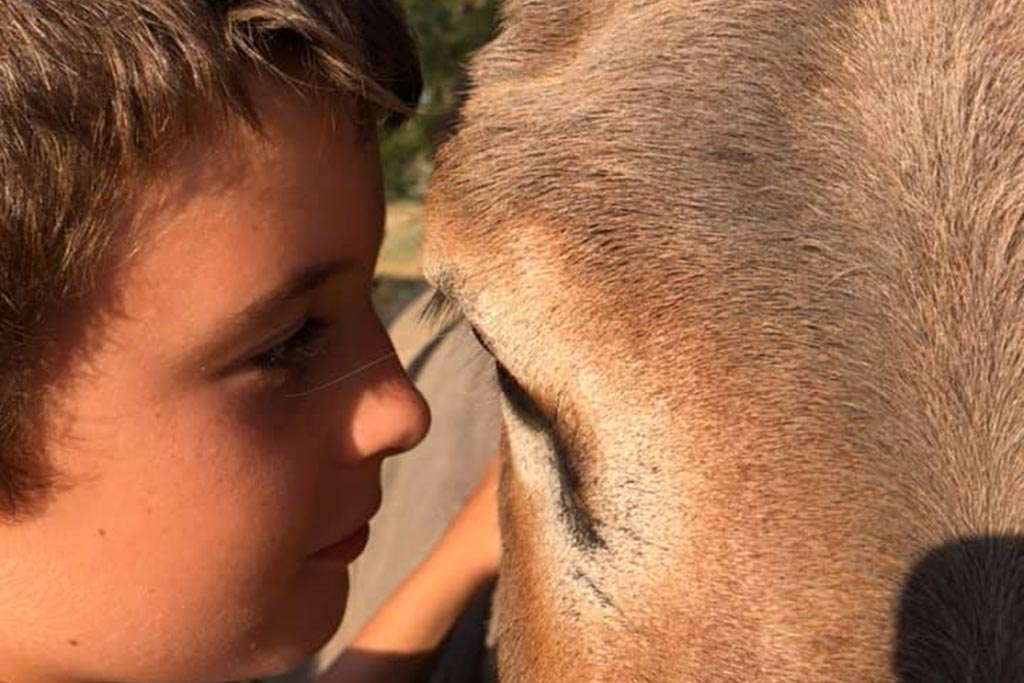 Agriturismo per bambini in Maremma La Valentina Nuova, avvicinamento agli animali, cavalli e asinelli