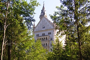 Baviera, Castello di Neuschwanstein, bosco