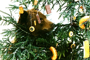 Natale in Repubblica Ceca, natale degli orsi