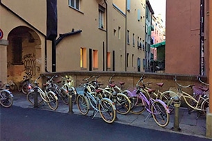 Tour Bologna per bambini con guida, noleggio biciclette