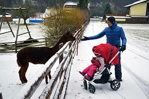 Vacanze invernali a Trebesing, Austria, passeggiate tra gli animali