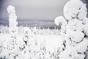 Lapponia Finlandese con bambini, Foresta di ghiaccio in motoslitta