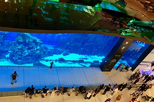 Parchi divertimento a Dubai, Aquarium