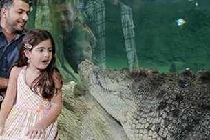 Parchi divertimento a Dubai, Aquarium e il coccodrillo