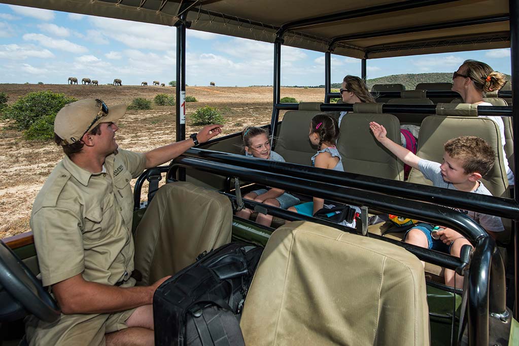 Safari Lodge in Sudafrica per famiglie e bambini, Riverdene Family Lodge, Safari Game Drives