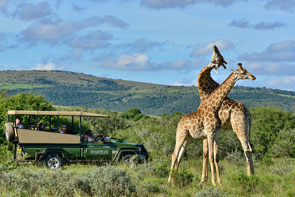 Safari Lodge in Sudafrica per famiglie e bambini, Riverdene Family Lodge, Safari Game Drives