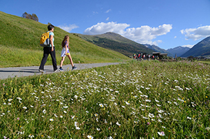 Passeggiate in montagna per bambini d'estate, Val Alpisella