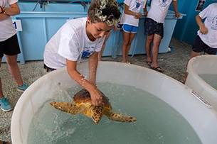 Centro recupero tartarughe marine di Brancaleone in Calabria