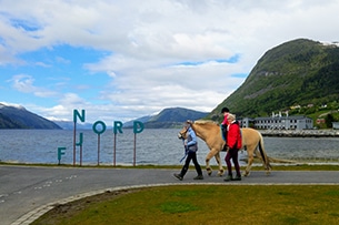 Viaggio alla scoperta dei Vichinghi in Norvegia, Fiordo del Nord