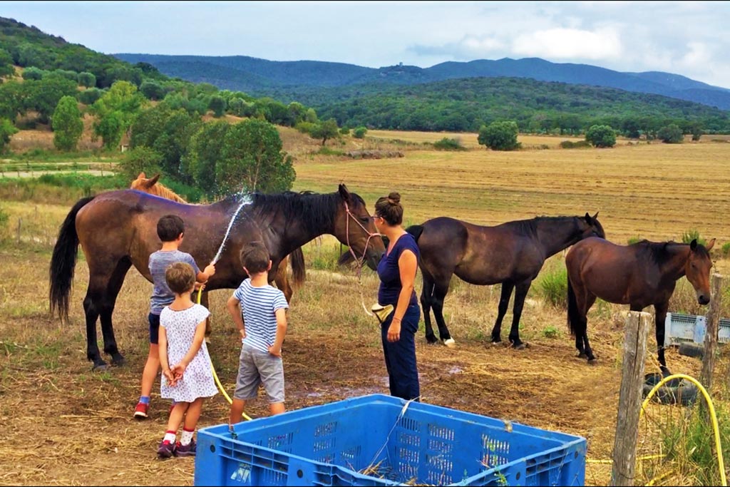 Agriturismo per bambini in Maremma La Valentina Nuova, cavalli e bambini