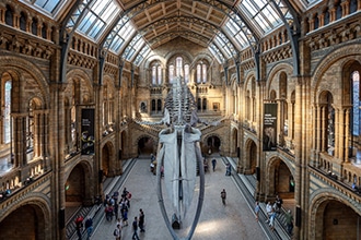Londra low cost con bambini, Natural History Museum