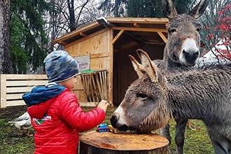 Ai mercatini di Natale di Levico Terme con i bambini, la fattoria degli animali