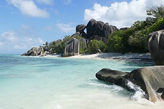 Tartarughe delle Seychelles, dove vederle con i bambini, il mare