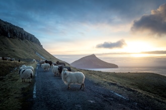 On the road alle isole Faroe