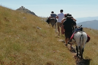 trekking con gli asini in Abruzzo