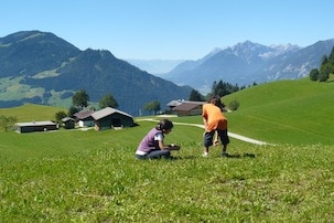Alpbach Tirolo in estate