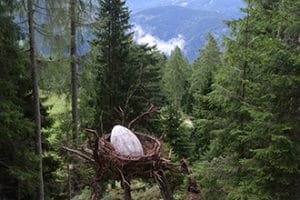 Cammini con bambini, Trentino, foresta dei draghi