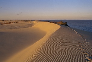 Lituania: le dune di Neringa