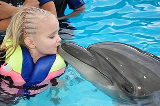 Sharm con bambini, nuotare con i delfini